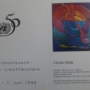 Exposición-Lichtenstein-Cecilia-wilde-04